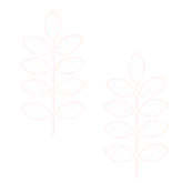 Leaf decoration